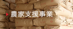 農業化支援